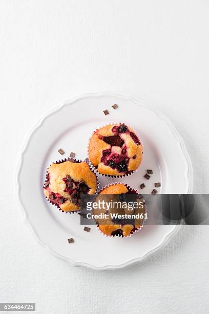 muffin with chocolate chips, blueberries and raspberries on plate - muffin stock pictures, royalty-free photos & images