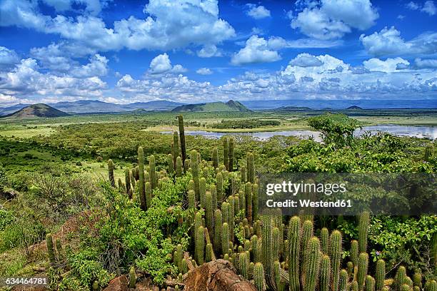 kenya, rift valley province, view to lake naivasha - rift valley stock pictures, royalty-free photos & images