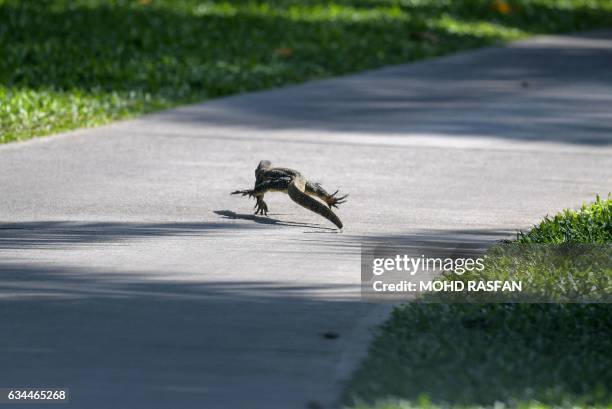 Monitor lizard crosses a walkway during the second round of the 2017 Maybank Malaysia Championship golf tournament at Saujana Golf and Country Club...