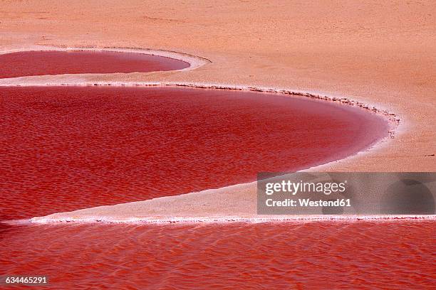 tunisia, near tozeur, chott el jerid, salt lake - província de tozeur imagens e fotografias de stock