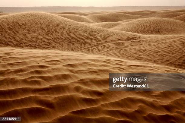 tunisia, sand dunes in the sahara desert, great eastern erg - sandstorm stock pictures, royalty-free photos & images