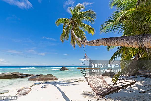 seychelles, silhouette island, beach la passe, presidentel beach, palm with hammock - beach hammock stock pictures, royalty-free photos & images