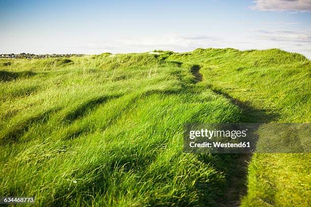 ireland, landscape in connemara - connemara stock-fotos und bilder