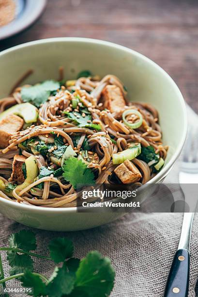 japanese otsu salad with buckwheat noodles, soba - soba stock pictures, royalty-free photos & images