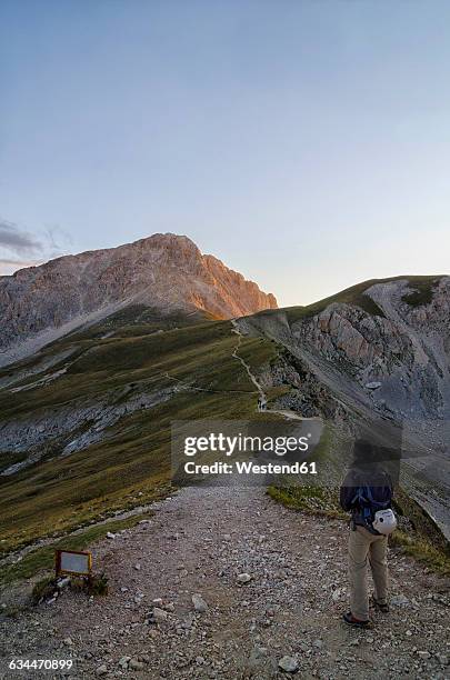 italy, abruzzo, gran sasso e monti della laga national park, hiker on the track to summit of corno grande - abruzzen stock-fotos und bilder