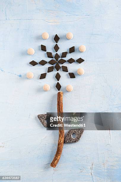 flower made of licorice root and licorice products - licorice flower stock pictures, royalty-free photos & images
