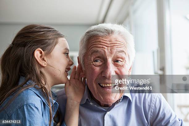 granddaughter wispering something in the ear of her grandfather - child whispering stock-fotos und bilder