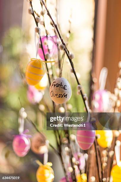 twigs of pussy willows decorated with easter eggs - weidenkätzchen stock-fotos und bilder