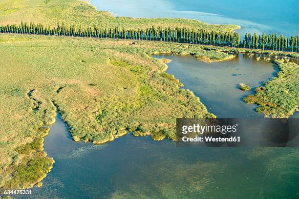 germany, lake constance, aerial view, reichenau island, causeway at wollmatinger ried - bodensee luftaufnahme stock-fotos und bilder