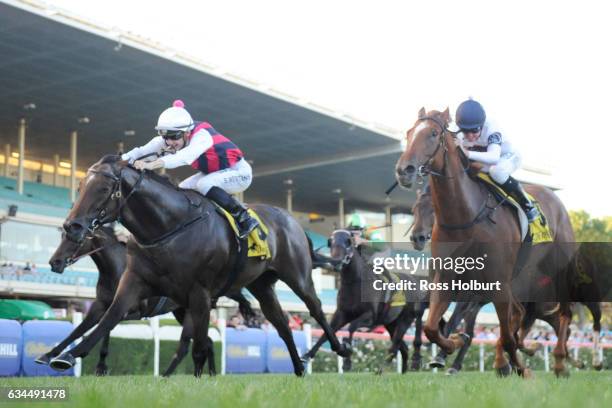 Got Shivers ridden by Beau Mertens wins Adapt Australia Handicap at Moonee Valley Racecourse on February 10, 2017 in Moonee Ponds, Australia.