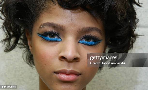 Models prepare backstage during the Popoganda By Richie Rich during New York Fashion Week at The Theater at Madison Square Garden on February 9, 2017...
