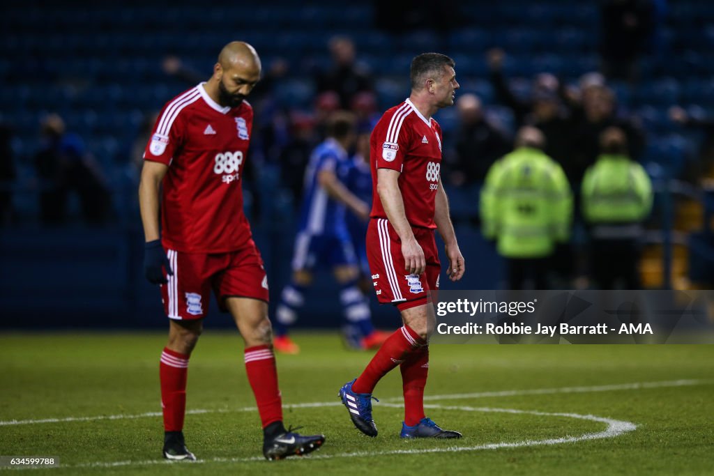 Sheffield Wednesday v Birmingham City - Sky Bet Championship