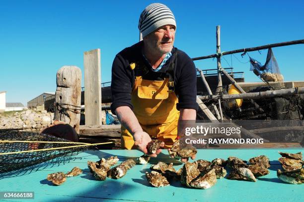11 Christophe Guinot Photos High Res Pictures Getty Images 11-christophe-guinot-photos-high-res-pictures-getty-images