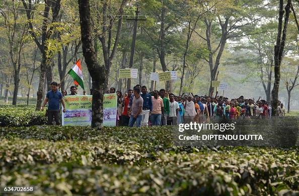 INDIA-ECONOMY-TEA-GARDEN INDIA-ECONOMY-TEA-GARDEN