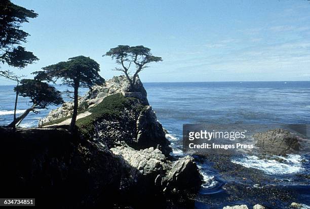 The Lone Cypress circa 1992 in Pebble Beach, California.