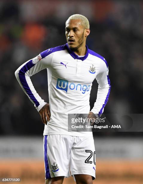 Yoan Gouffran of Newcastle United during the Sky Bet Championship match between Wolverhampton Wanderers and Newcastle United at Molineux on February...