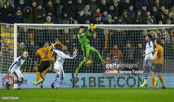 Newcastle United's Goalkeeper Karl Darlow jumps in the air to save the ball during the Sky Bet Championship mpatch between Wolverhampton Wanderers...
