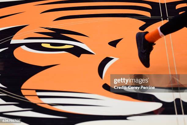 The Princeton Tigers logo is shown during the second half against the Columbia Lions at L. Stockwell Jadwin Gymnasium on February 11, 2017 in...