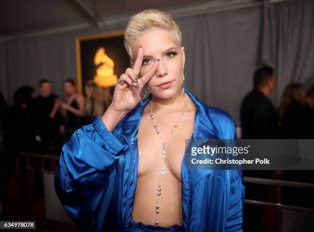 Singer Halsey attends The 59th GRAMMY Awards at STAPLES Center on February 12, 2017 in Los Angeles, California.