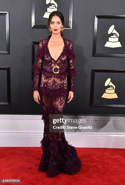 Model Nicole Trunfio attends The 59th GRAMMY Awards at STAPLES Center on February 12, 2017 in Los Angeles, California.