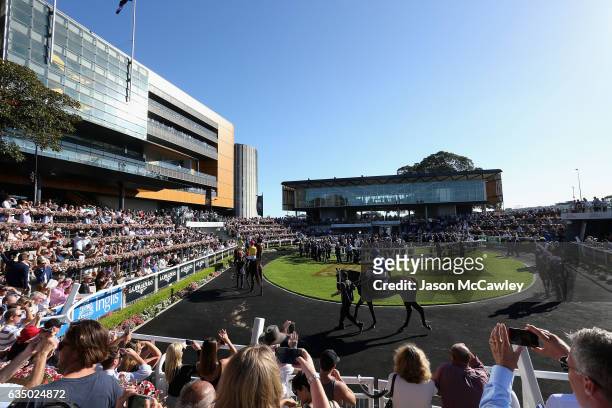 Winx is paraded in the Theatre of the Horse prior to the Apollo Stakes at Royal Randwick Racecourse on February 13, 2017 in Sydney, Australia.