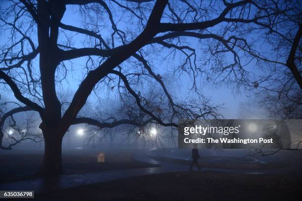 Pedestrian walks through Lafayette Square near the White House during a foggy morning in Washington, D.C., January 18 two days before the...