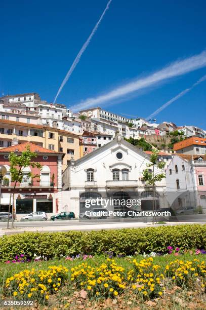 View across the flowerbeds of a riverside park in front of old traditional houses, many split into apartments which are stacked up against the...