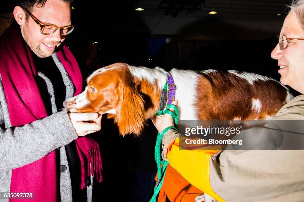An attendee pets an Irish Red Setter dog during the annual Meet the Breed event ahead of the 141st Westminster Kennel Club Dog Show in New York,...