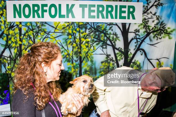 Handlers hold a Norfolk Terrier dog during the annual Meet the Breed event ahead of the 141st Westminster Kennel Club Dog Show in New York, U.S., on...