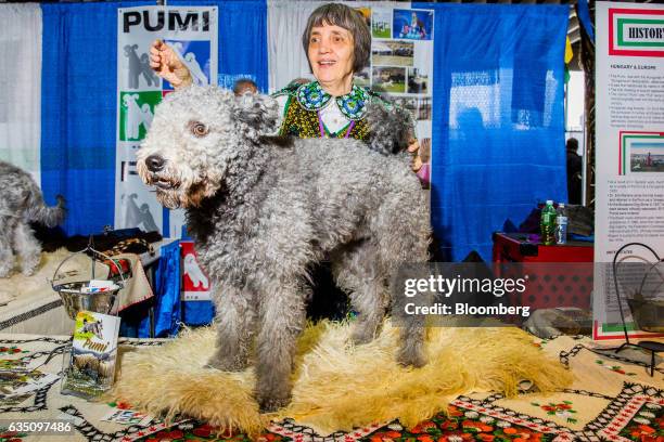 Dog owner and her Pumi dog stand for a photograph during the annual Meet the Breed event ahead of the 141st Westminster Kennel Club Dog Show in New...