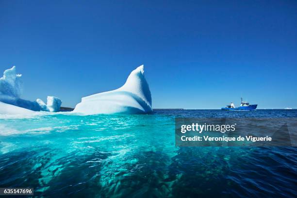 Ed Kean's vessel, the Green Waters in the middle of icebergs in Bonavista Bay. As more icebergs drift south due to climate change, a few enterprising...