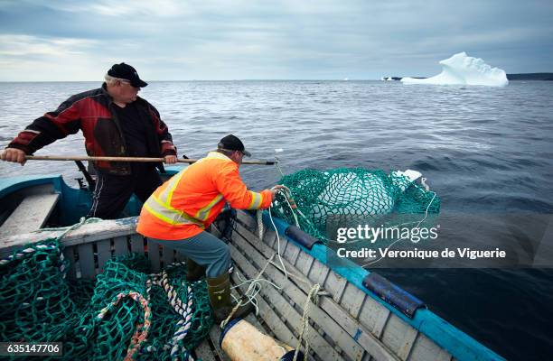 Ed Kean and Philip Kennedy are fishing an iceberg in Bonavista Bay. As more icebergs drift south due to climate change, a few enterprising seafarers...