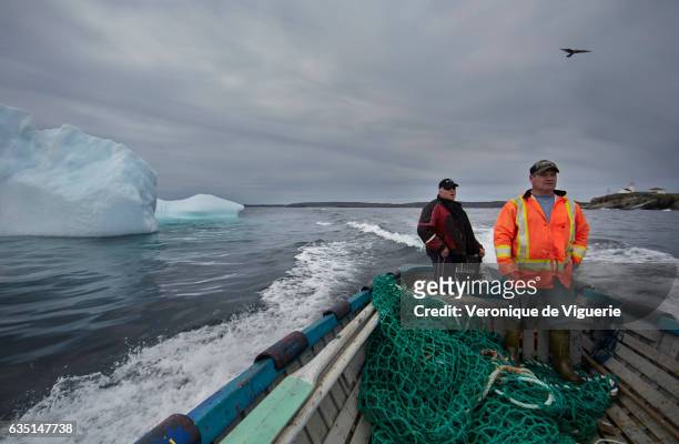 Ed Kean and Philip Kennedy are looking for an iceberg in Bonavista Bay. As more icebergs drift south due to climate change, a few enterprising...