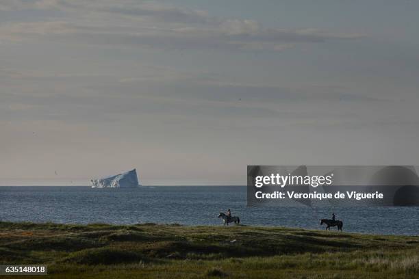 An iceberg floats in Boavista Bay off the coast of Newfoundland, Canada. As more icebergs drift south due to climate change, a few enterprising...