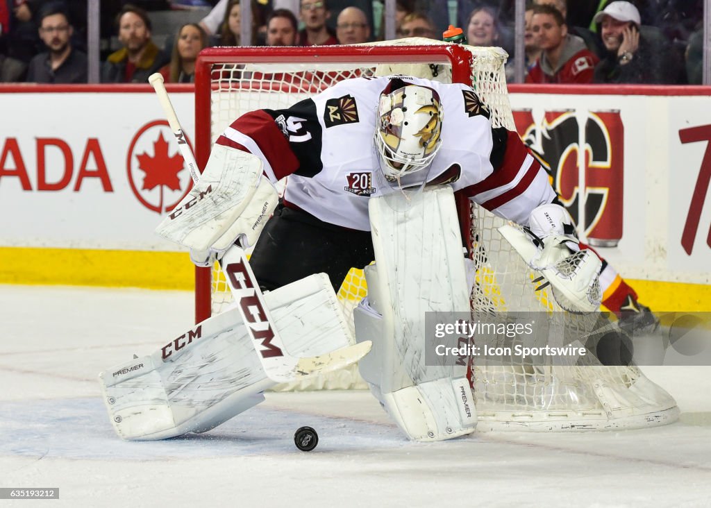 NHL: FEB 13 Coyotes at Flames