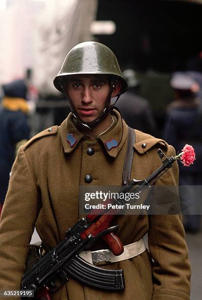 Flower Rifle Flower In Rifle Photos and Premium High Res Pictures - Getty Images