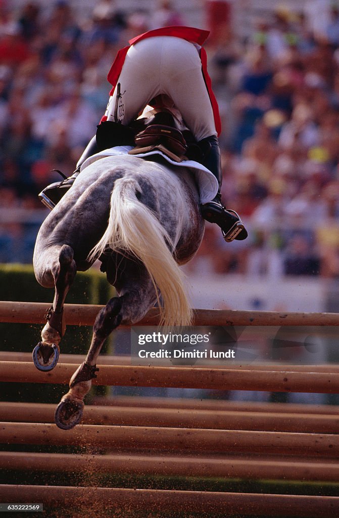 Horse and Rider Clear Jump
