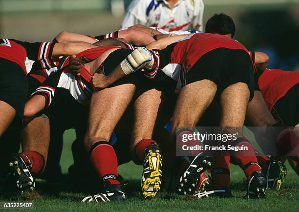 Rugby Players in a Scrum