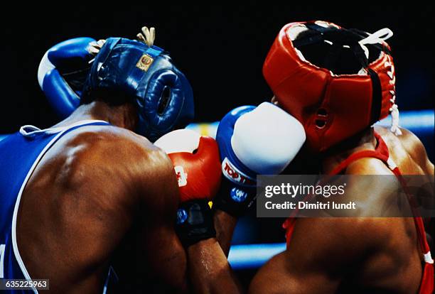 Boxers Sparring