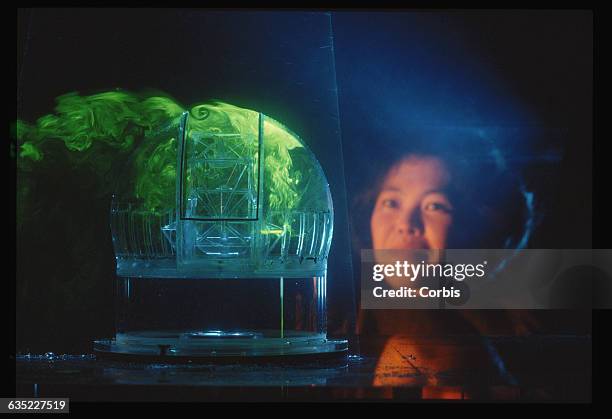 Siri Limmonkol views a model of a 2.5-meter telescope inside a water tank. The tank is used to test the effects of air turbulence on the instrument....