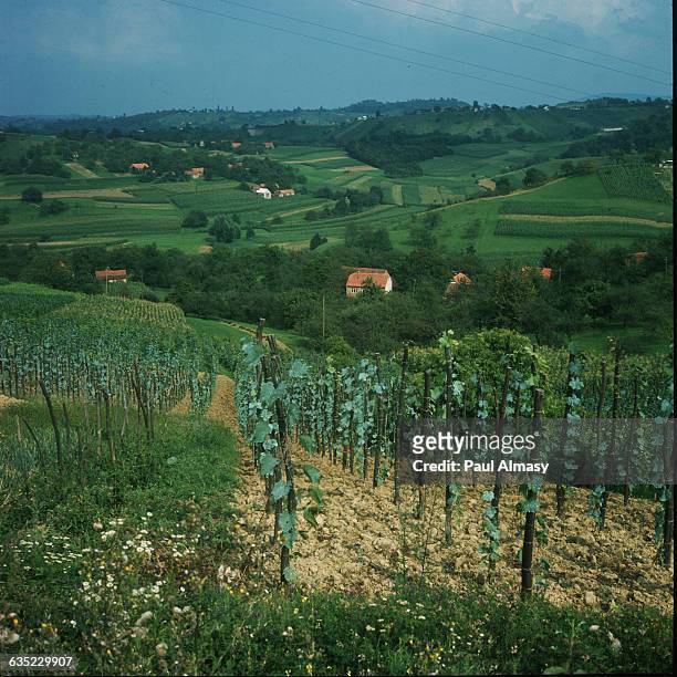Fields in the Maribor region of Yugoslavia in 1974. | Location: Maribor Region, Yugoslavia.