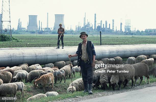 Two Rom shepherds lead their flock of goats and sheep along a pipeline in the shadow of a nuclear plant in Romania.