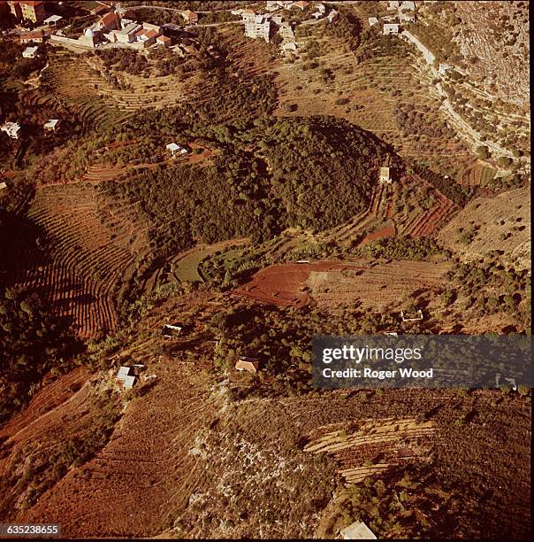 Nahr Ibrahim Fleurs Rouges Nahr Ibrahim Photos and Premium High Res Pictures - Getty Images