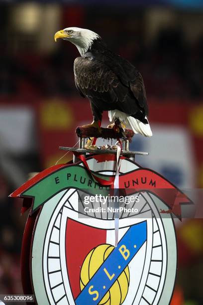 Benficas eagle Vitoria stands moments before the Champions League football match between SL Benfica and Borussia Dortmund at Luz Stadium in Lisbon on...
