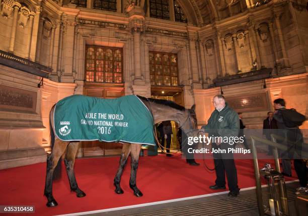 Rule The World attends The Randox Health Grand National Weights Evening at the Victoria & Albert Museum on February 14, 2017 in London, England. The...