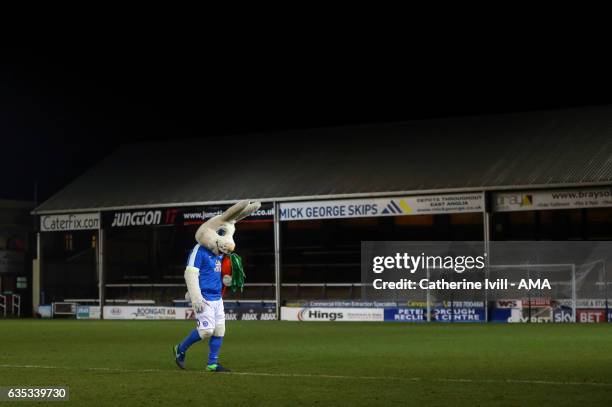 Peter Burrow, the rabbit mascot of Peterborough United after the Sky Bet League One match between Peterborough United and Shrewsbury Town at ABAX...