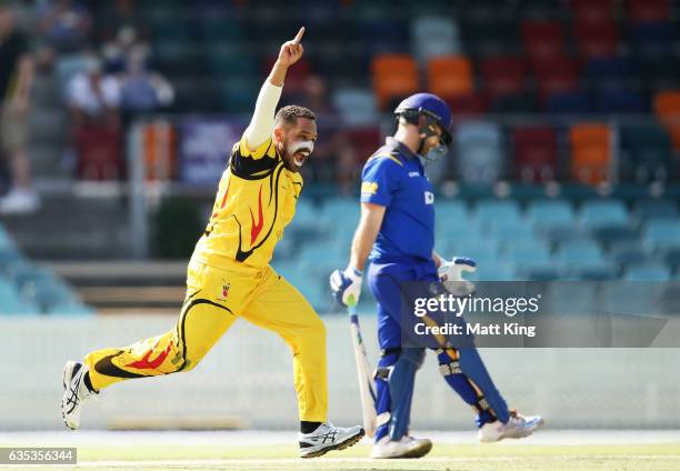 Chad Soper of Papua New Guinea celebrates taking the wicket of Aiden Blizzard of ACT during the T20 warm up match between ACT and Papua New Guinea at...