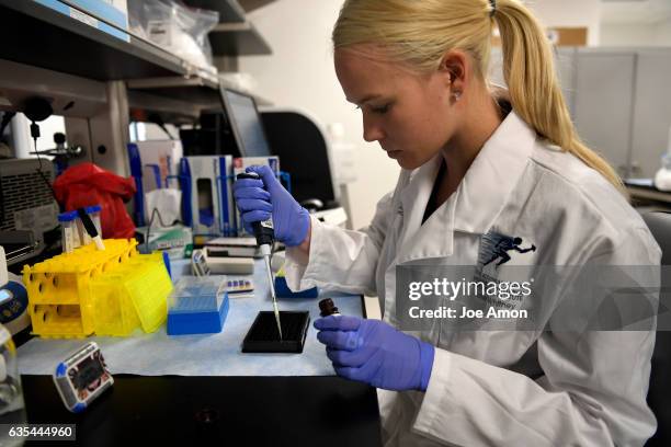 Research Coordinator Kaitie Whitney setting up to run a protein quantification assay on platelet rich plasma in the Center for Regenerative Sports...