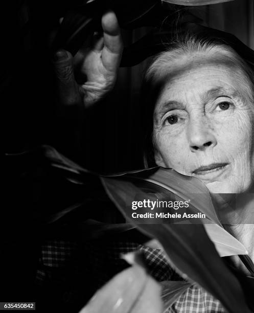 Primatologist Jane Goodall is photographed on September 12, 2001 in New York City.