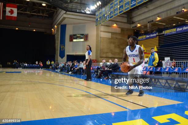 Nate Robinson of the Delaware 87ers takes a shot during the game against the Maine Red Claws on February 14, 2017 at the Bob Carpenter Center in...